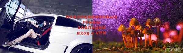PSILOCYBIN Богородицк